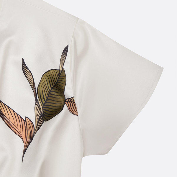 נועה™ | שמלת מדי אנטימית מחוייטת