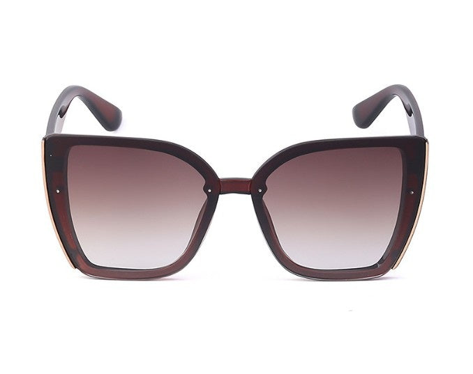 משקפי שמש דיבינה