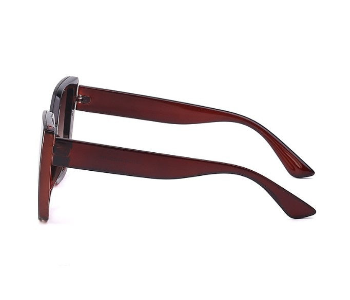 משקפי שמש דיבינה