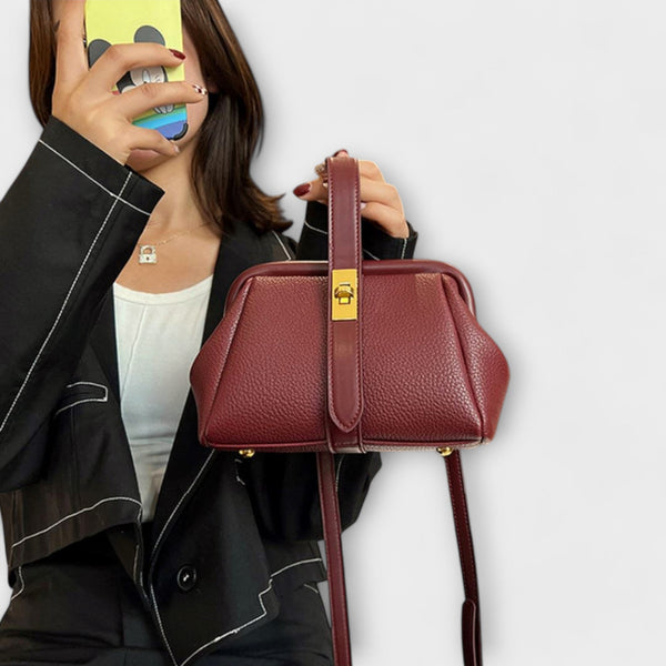 תיק רטרו - אלגנטי ורבגוני